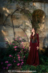 Enchanted garden