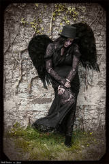 Fallen Angel