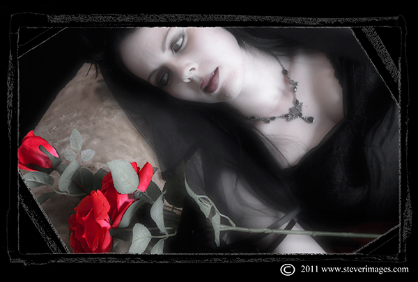 Dracula's Bride, red roses