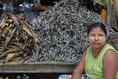 Fish stall