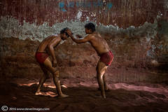 Wrestlers