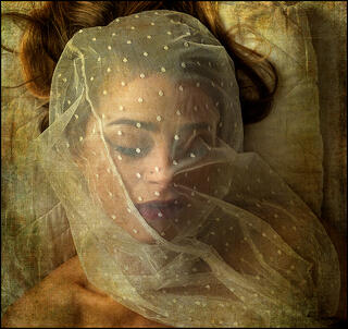Shrouded Beauty decay