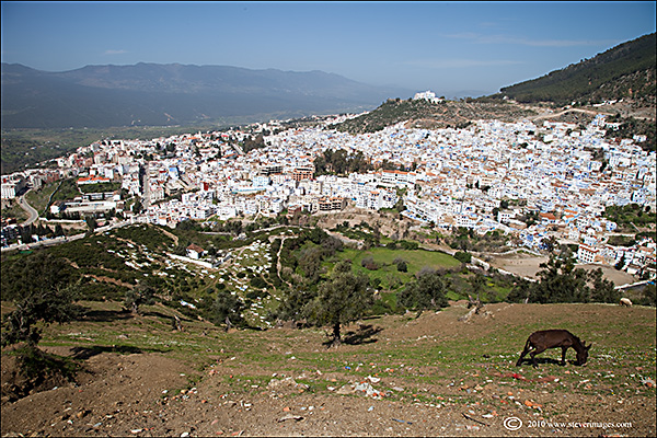 A view of&nbsp;Chefchouan&nbsp;looking down&nbsp;from the site of the old monastry.