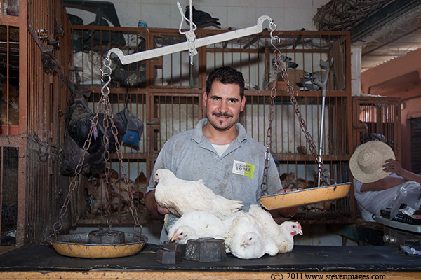 This image and the next two focus on the chicken market, which&nbsp;is quite&nbsp;popular around the backstreets of Marrakech