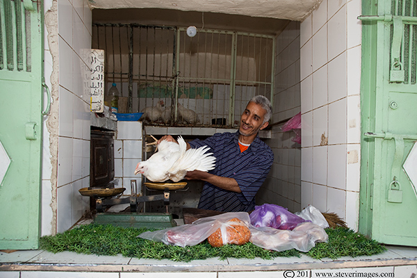 chickens, markets, marrakech