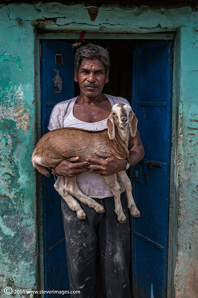Portrait, Indian man with goat, Portrait of Indian man with goat