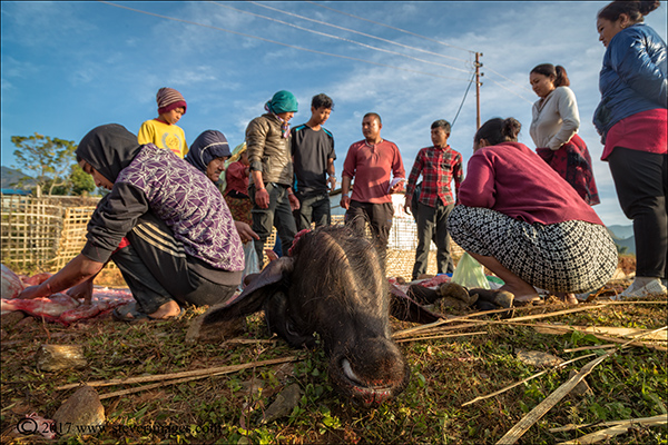 Nepal, outdoor, cutting meat