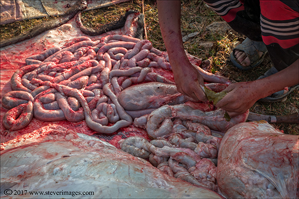 Nepal, outdoor, cutting meat