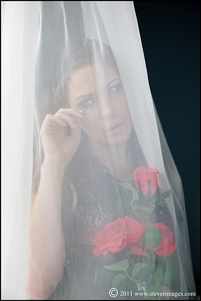 remembrance, roses, red roses, remembramce