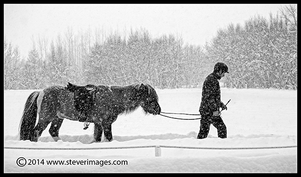 &nbsp;No break from the snow this time